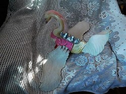 she rah swan